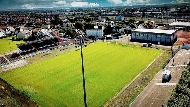 是一个完美 是一个完美