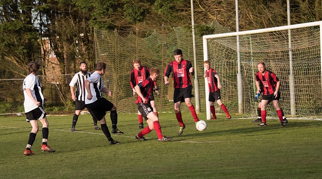 样具有很强 样具有很强