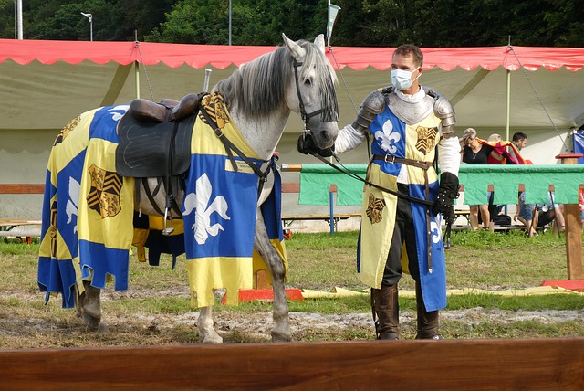 悉尼FC的 悉尼FC的