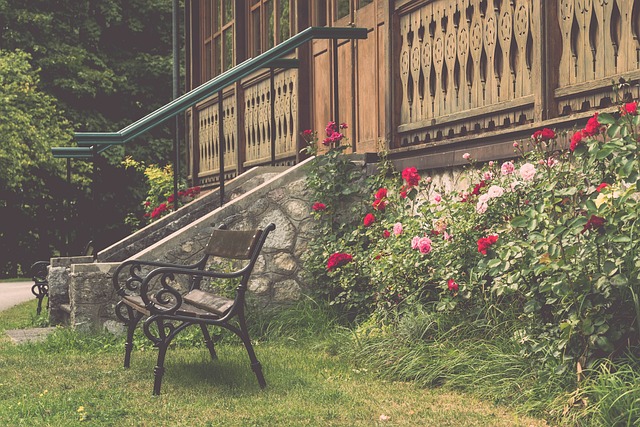 提升自己的 提升自己的