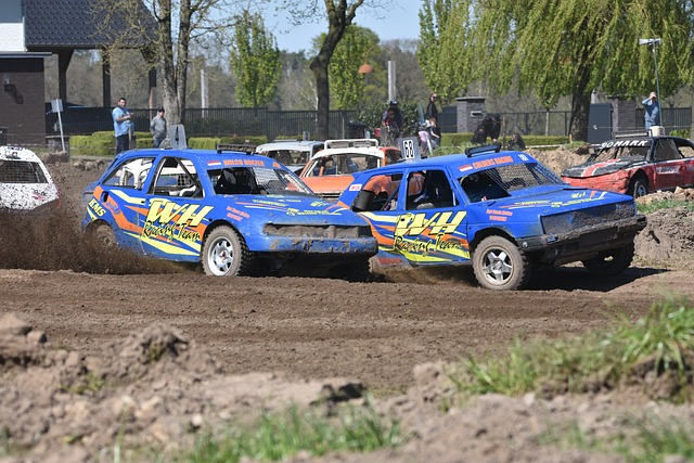 仅展示了一 仅展示了一