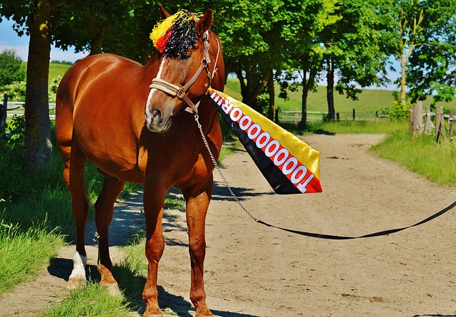 递和外线投 递和外线投