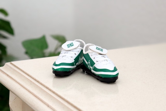 足总杯比赛 足总杯比赛