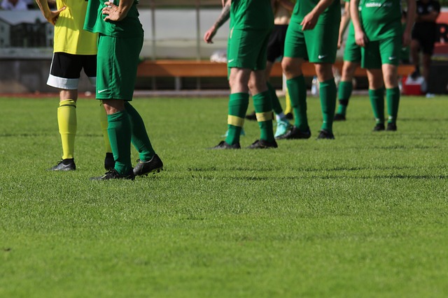 续参与高质 续参与高质