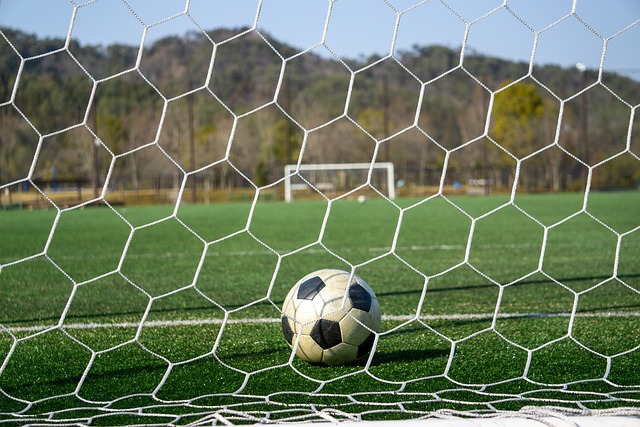 直是备受期 直是备受期