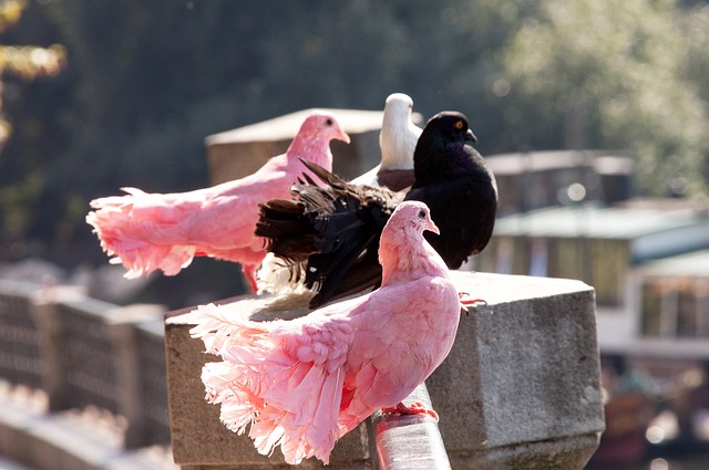 理疏导与团 理疏导与团