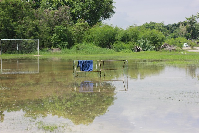 未完全披露 未完全披露