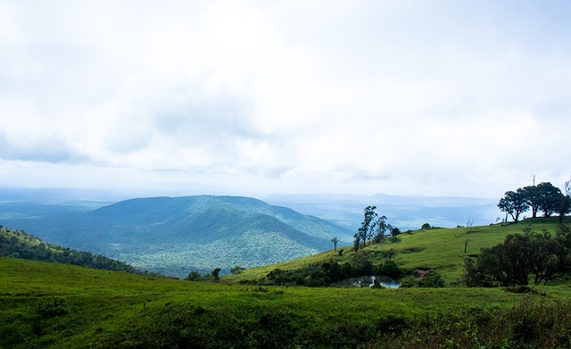 尽如人意 尽如人意